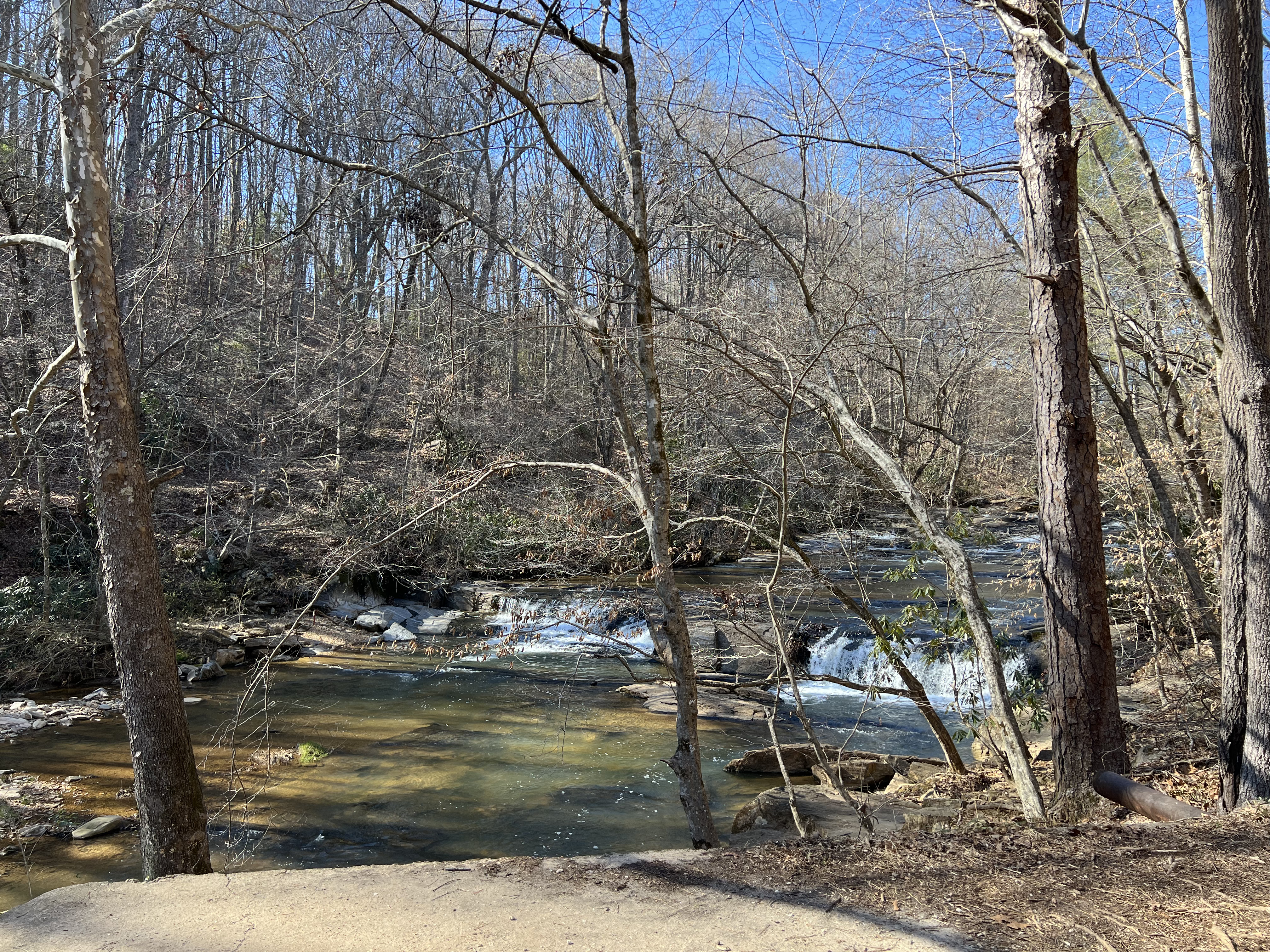 ./2025/01 - Byrds Branch/IMG_5189.jpg